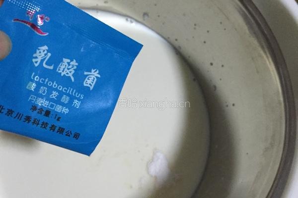 川秀自制酸奶的做法图解3