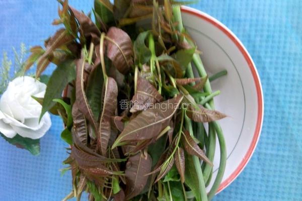 香椿拌蒜薹的做法图解1