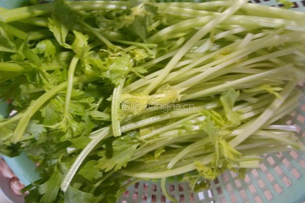 芹菜猪肉大混沌的做法图解3
