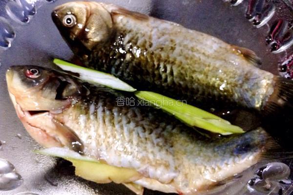 剁椒鲫鱼的做法图解8