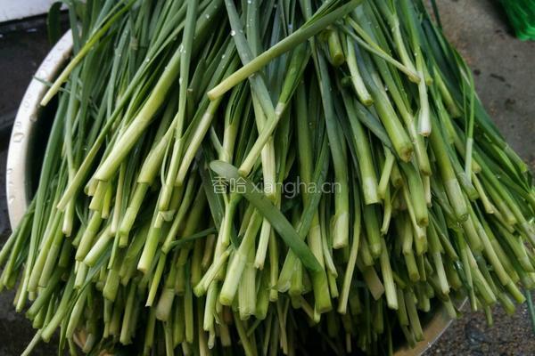 煎韭菜串（烧烤风味）的做法图解2