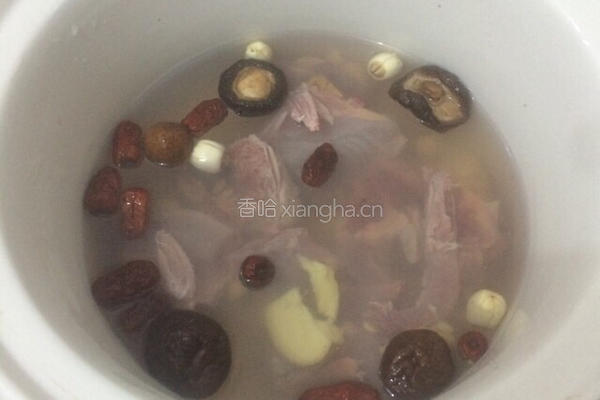 清炖鸽子汤的做法图解5