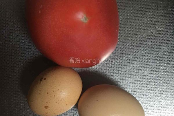 鸡蛋炒西红柿的做法图解2