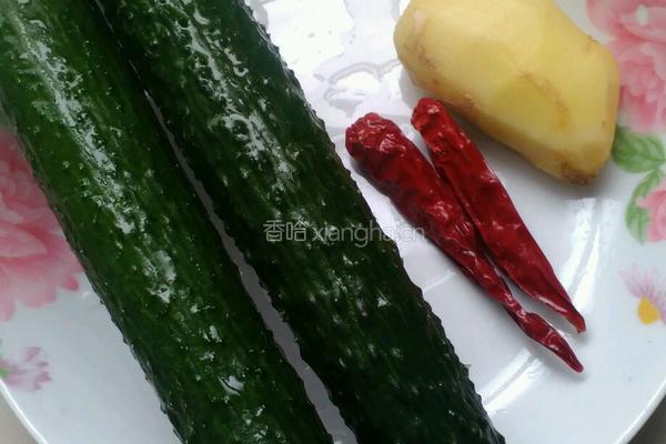 酸辣腌黄瓜的做法图解1