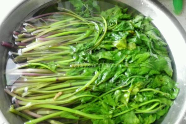 大叶芹馅饺子的做法图解4