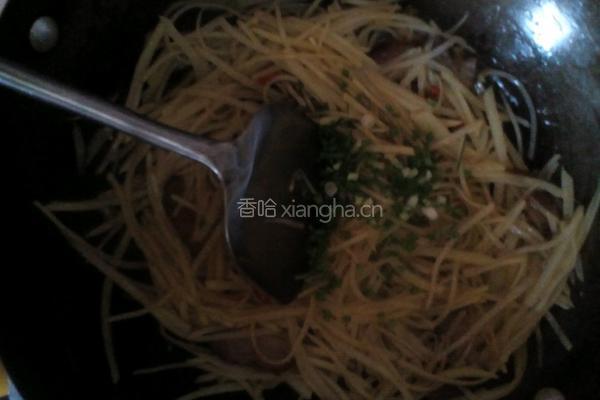 炒土豆丝的做法图解6