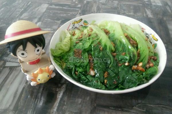 耗油生菜