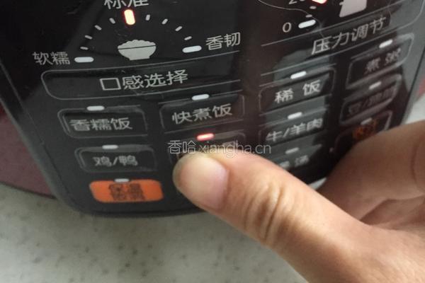 清炖排骨的做法图解10