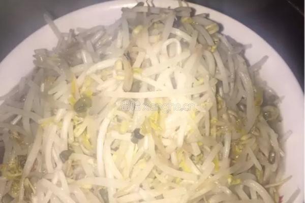香辣绿豆芽