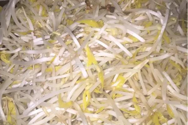 香辣绿豆芽的做法图解1
