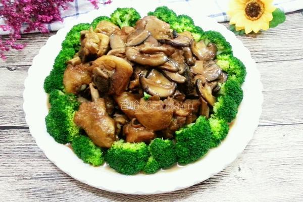 香菇炒鸡的做法图解8