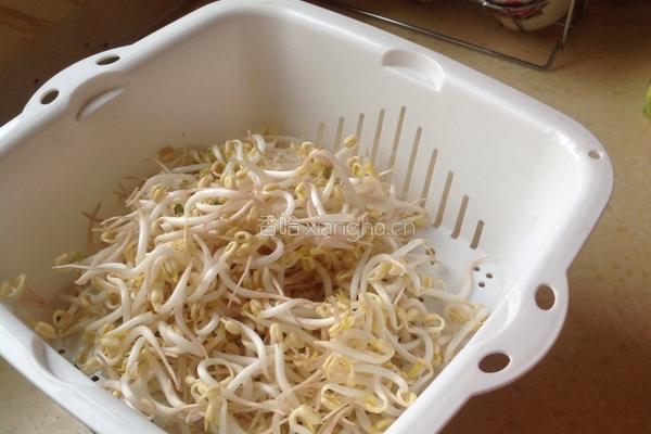炒豆芽菜的做法图解2