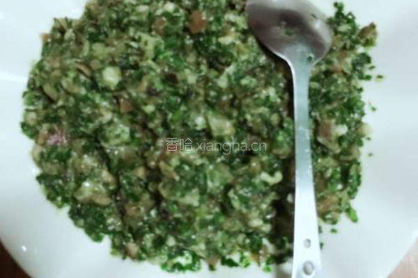 韭菜鲜肉馅饺子的做法图解6