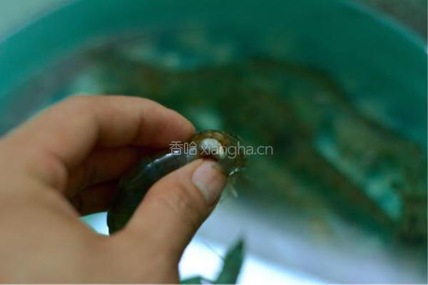 家常油爆虾的做法图解2