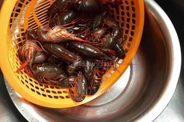 啤酒龙虾的做法图解5