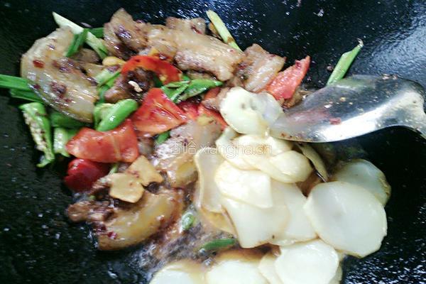 土豆回锅肉的做法图解14