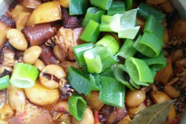 红烧五花肉土豆墨鱼仔