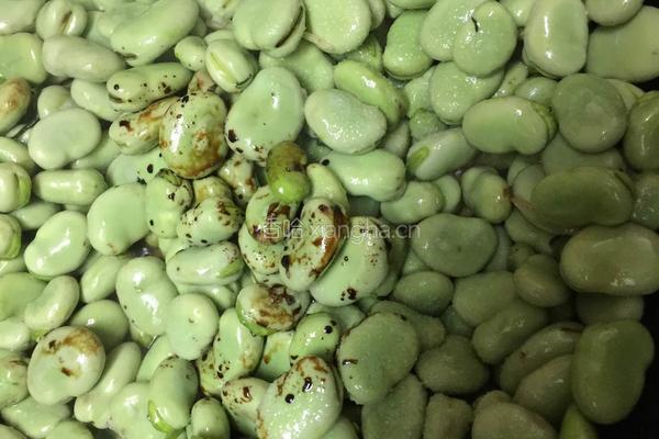 蒜香青蚕豆的做法图解5