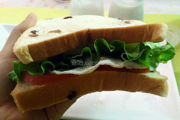 三明治的做法图解9
