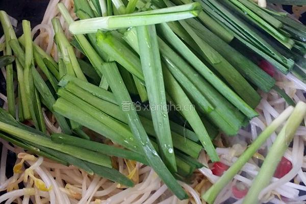 韭菜炒豆芽的做法图解6