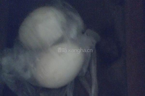 自制咸鸭蛋的做法图解3