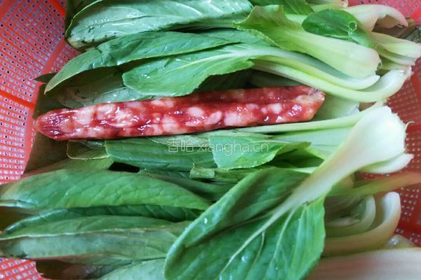 炒油菜的做法图解1