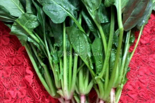 蒜蓉炒菠菜的做法图解1