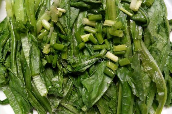白灼油麦菜的做法图解6