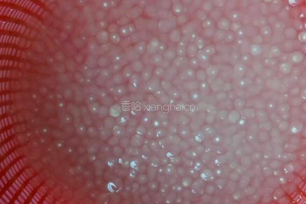 椰汁西米露的做法图解7