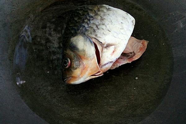 鲫鱼头豆腐汤的做法图解3