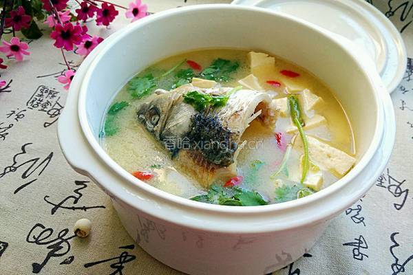鲫鱼头豆腐汤的做法图解9