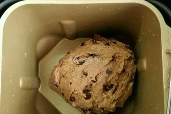 低糖可可巧克力豆麻薯面包圈的做法图解5