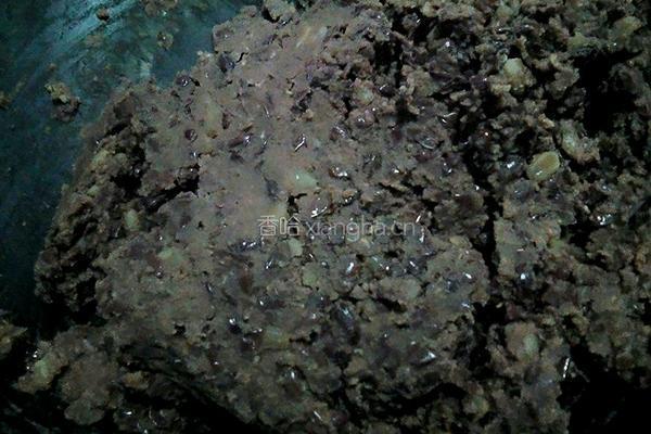 纯手工红豆沙的做法图解8