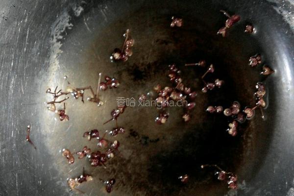 蒜泥空心菜的做法图解5
