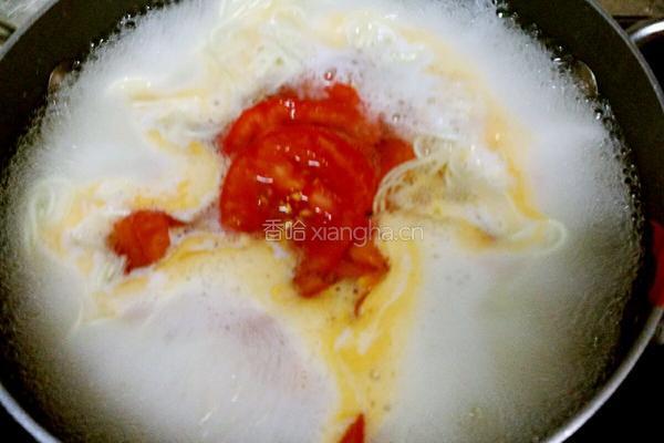 西红柿鸡蛋面的做法图解7