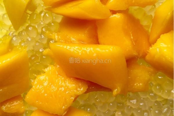 金芒鲜奶西米露的做法图解11