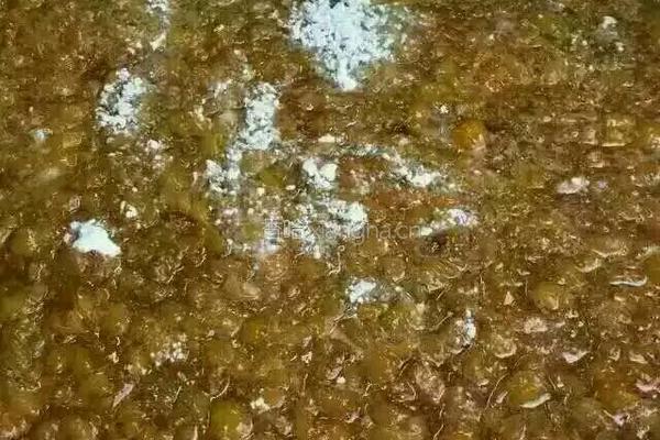 农家自制无添加枇杷膏的做法图解3