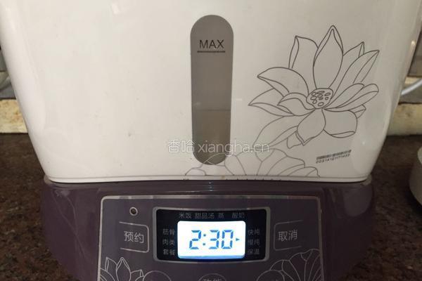 玉米萝卜炖排骨的做法图解6