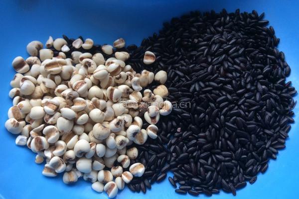 黑米薏仁豆浆的做法图解1