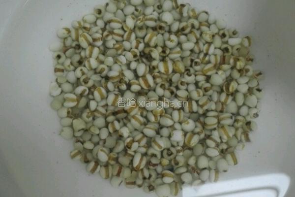 薏米柠檬水的做法图解2
