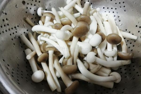 菌菇豆腐汤的做法图解6