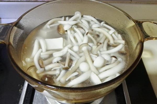 菌菇豆腐汤的做法图解8