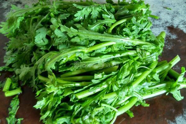 凉拌茼蒿的做法图解1