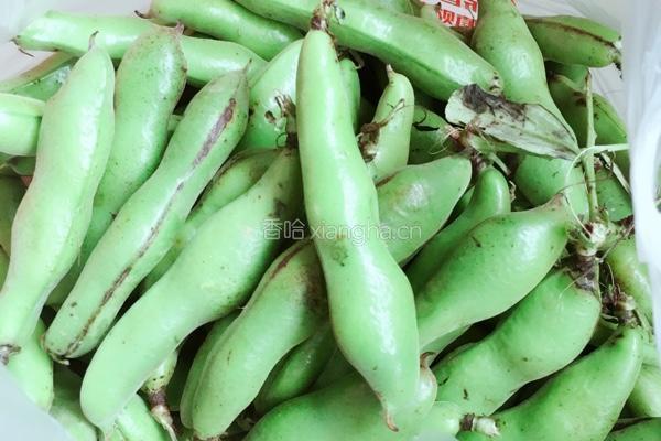葱油蚕豆的做法图解1