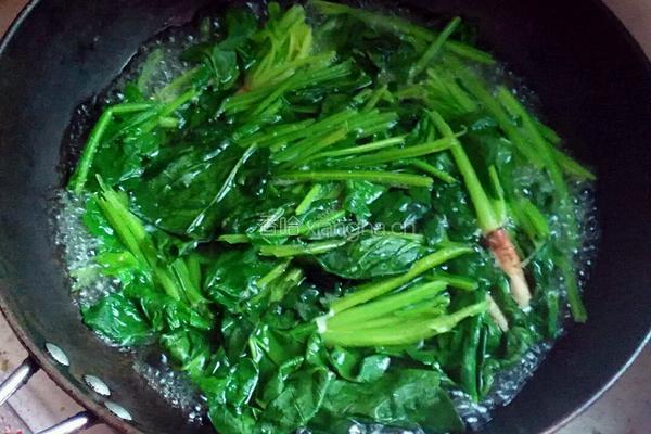 菠菜汁的做法图解2