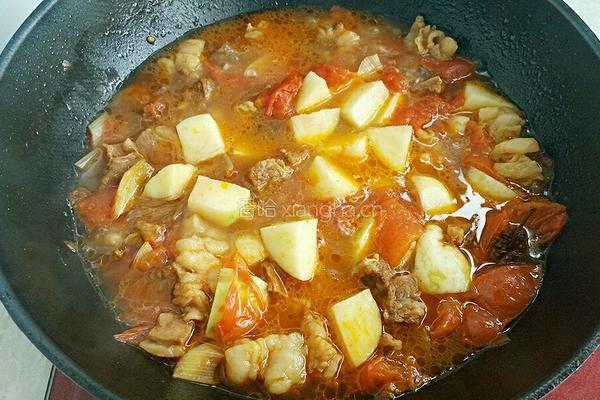 西红柿土豆炖牛肉的做法图解9
