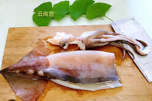 姜葱鱿鱼卷的做法图解2