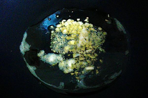 西红柿炒茄子的做法图解4