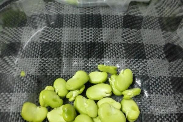 剁椒肉末蚕豆煲的做法图解2