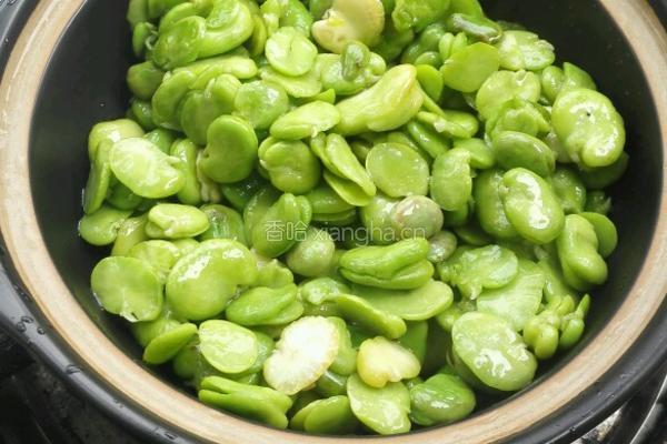 剁椒肉末蚕豆煲的做法图解10